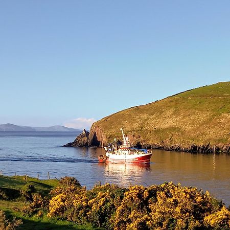 Eask View Dingle Hotel Exterior photo