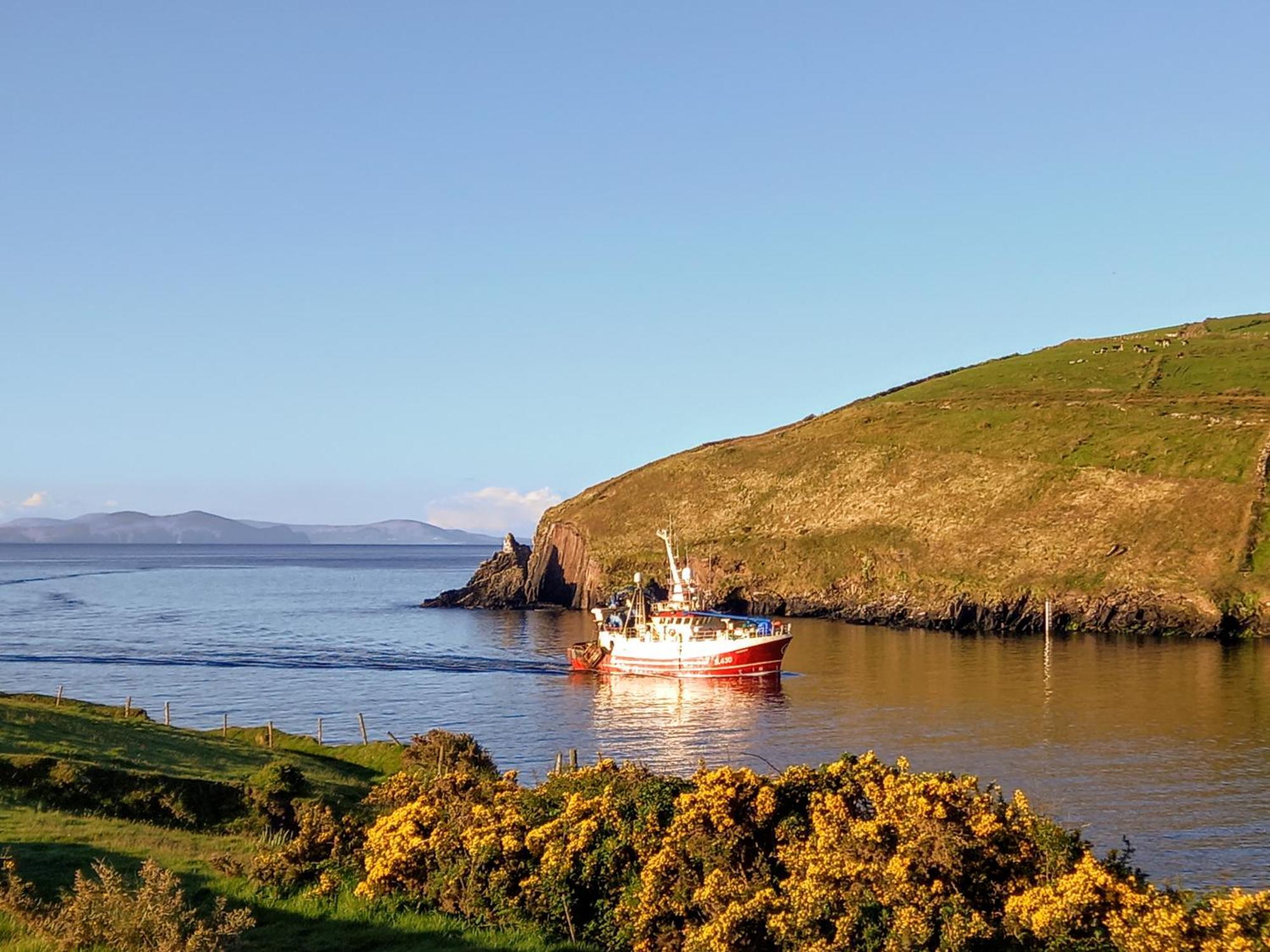 Eask View Dingle Hotel Exterior photo